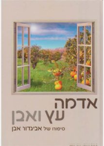 אדמה עץ ואבן
